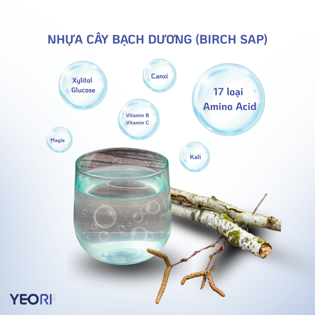 NHỰA CÂY BẠCH DƯƠNG: CƠ CHẾ CẤP NƯỚC KHÔNG DẦU TRONG YEORI SUNSCREEN