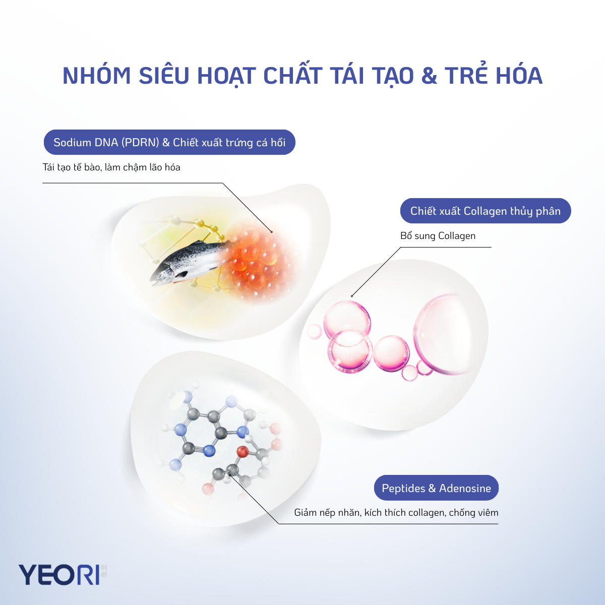 phan-tich-bang-thanh-phan-vang-trong-yeori-capsules-cream
