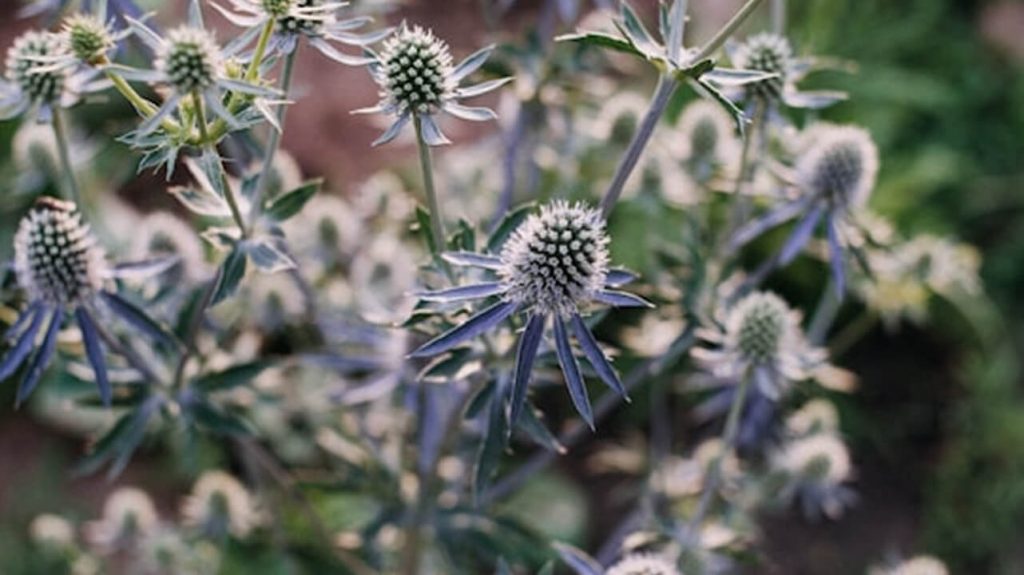 Cách lựa chọn kem chống nắng phù hợp cho từng loại da