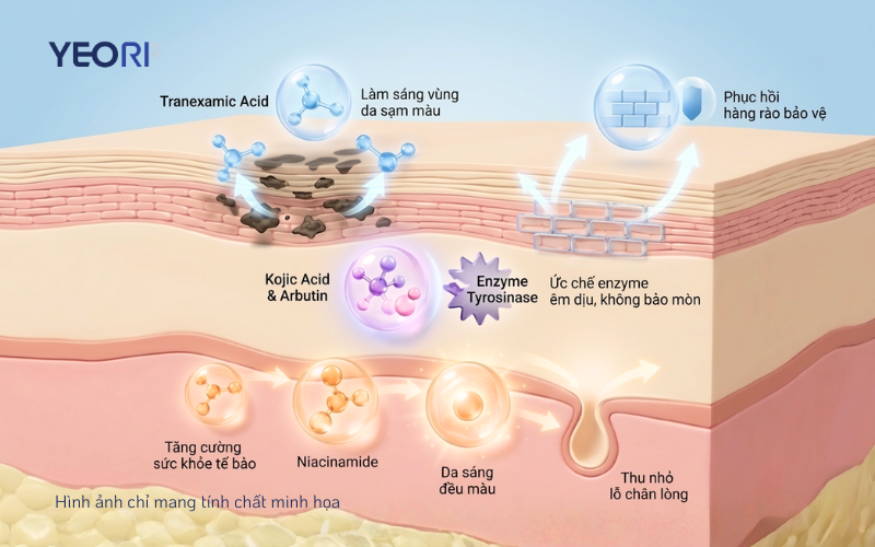 Quy-trinh-triet-tieu-nam