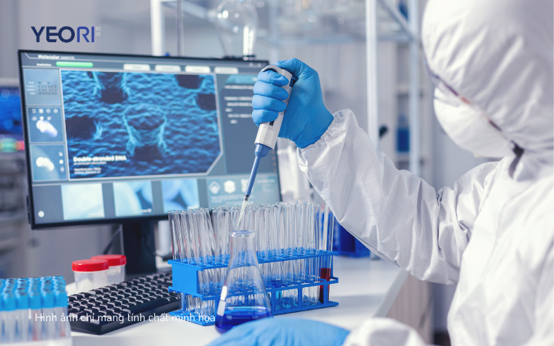 yeori-hanh-trinh-tu-phong-nghien-cuu-den-ban-trang-diem