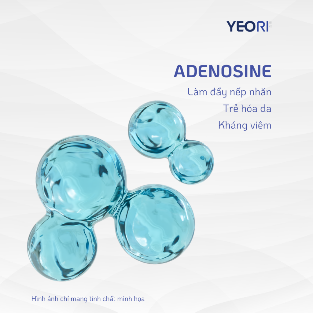 ADENOSINE: HOẠT CHẤT GIÚP LÀM ĐẦY NẾP NHĂN VÀ TRẺ HÓA DA