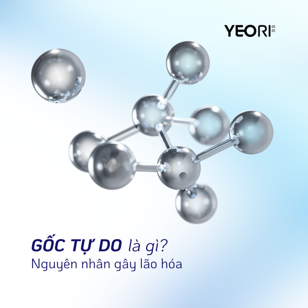 GỐC TỰ DO LÀ GÌ? NGUYÊN NHÂN GÂY LÃO HÓA DA VÀ CÁCH PHÒNG CHỐNG